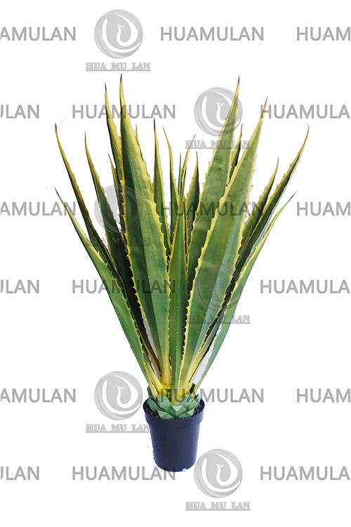 (23-160CM)