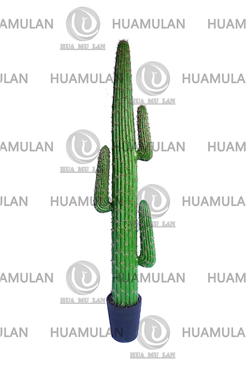 -(3-178CM)