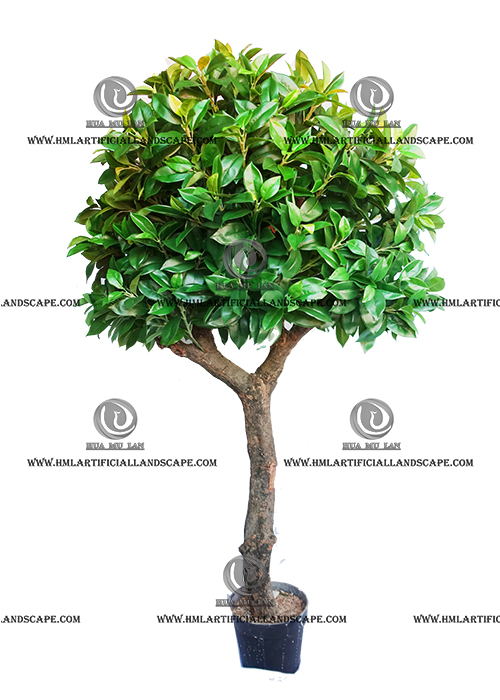FORTUNE TREE