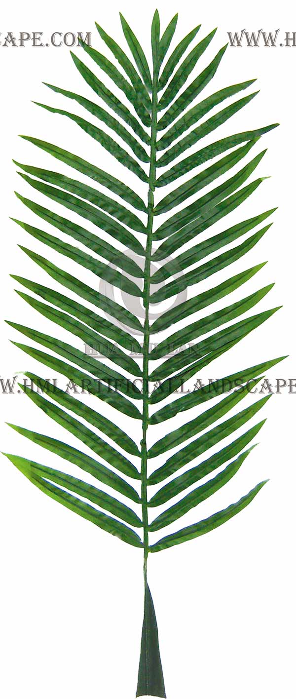 ARECA PALM FROND
